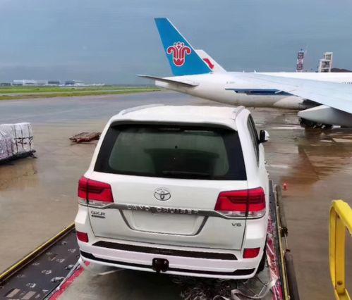 吃瓜群众的陆巡,吃瓜群众视角下的陆巡风云