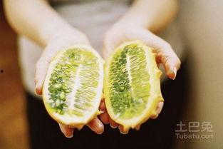 吃刺角瓜视频大全,视频大全带你领略独特风味