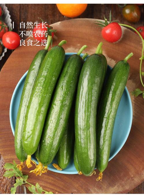 吃瓜小青瓜,揭秘娱乐圈那些不为人知的幕后故事