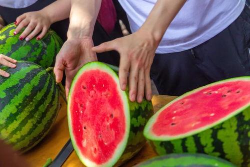 大学导师吃瓜,趣味横生的学术圈幕后故事