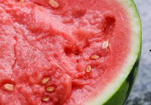 杭州吃瓜照片,捕捉城市生活百态