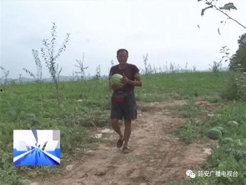 帮助快速吃瓜,一键掌握最新资讯