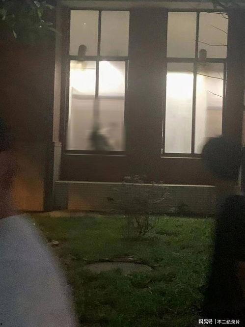 财经大学吃瓜事件视频,揭秘校园内幕，引发网友热议