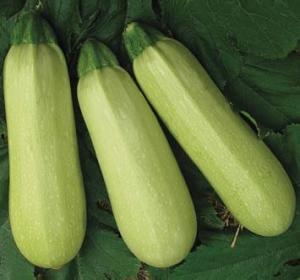 库尔勒微博吃瓜视频最新,揭秘娱乐圈最新热点事件