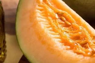 吃蜜瓜会中毒吗视频讲解,食用安全指南