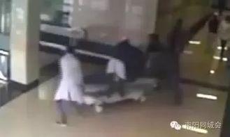 南阳情侣吃瓜事件视频曝光,视频曝光引发网友热议