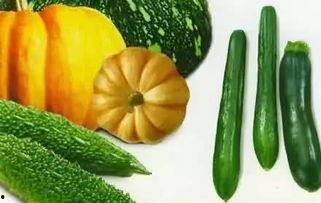 老妈妈吃烧瓜视频大全下载,温馨瞬间，回味无穷