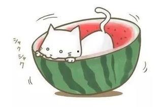 美好的遇见吃瓜视频大全,视频大全回顾