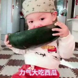 宝宝吃小瓜的视频大全集