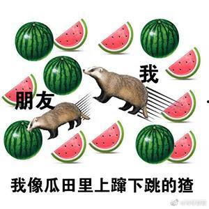 钛在线观看完整吃瓜视频